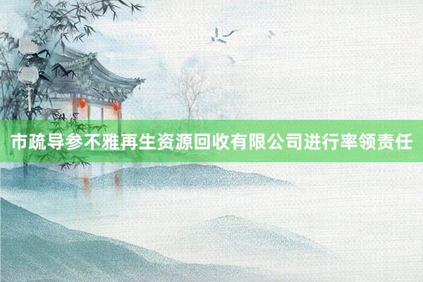 市疏导参不雅再生资源回收有限公司进行率领责任